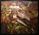 klickitat_bones_framed